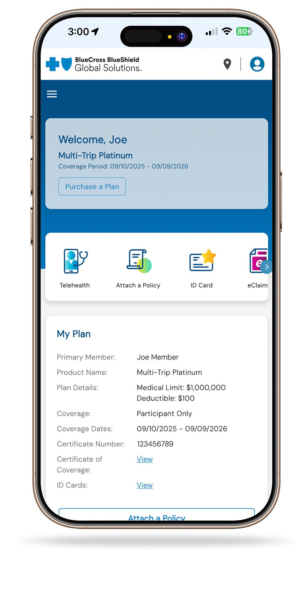 BCBSGlobalSolutions_mobile-app-home-screen
