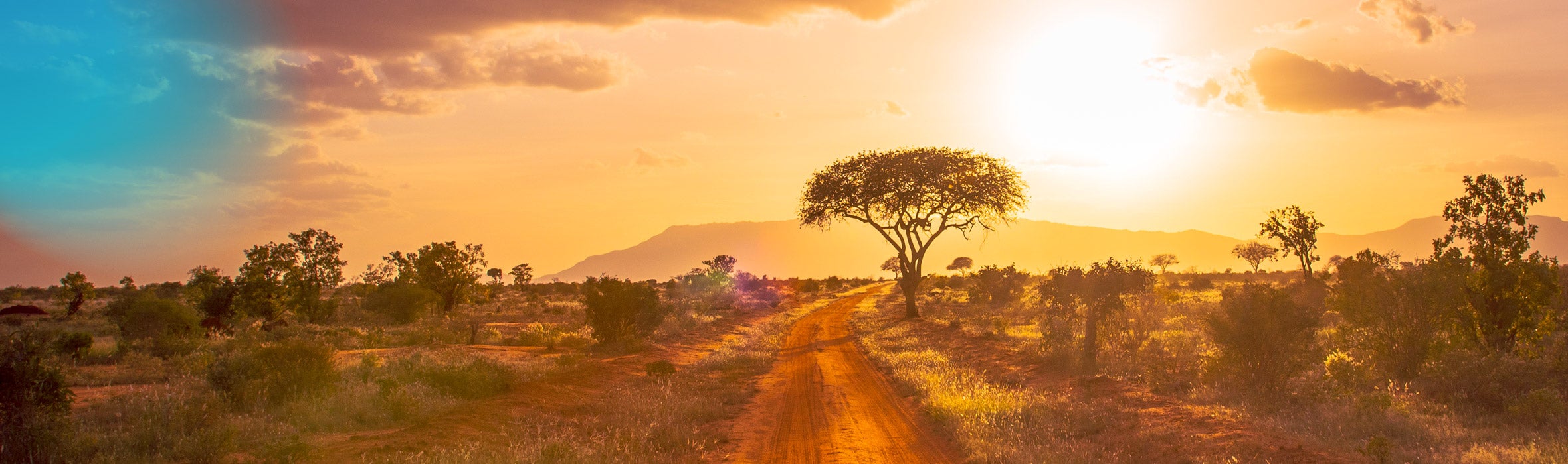 Orange dirt road surrounded by sparse plants and trees with mountains in the distance against a bright orange sunset sky 