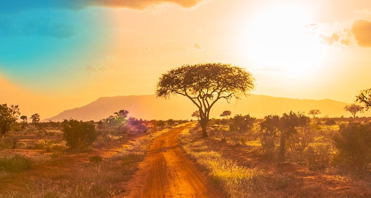 Orange dirt road surrounded by sparse plants and trees with mountains in the distance against a bright orange sunset sky 