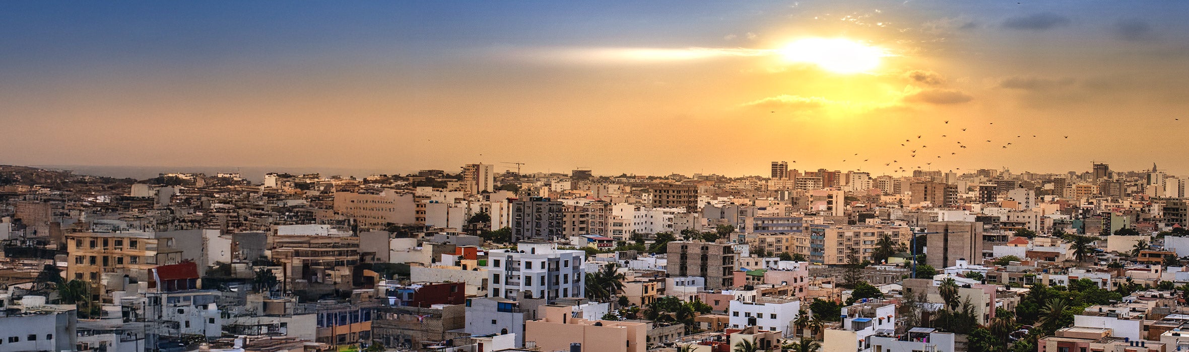 Crowded buildings in Senegal with a sunny sky and birds in the background
