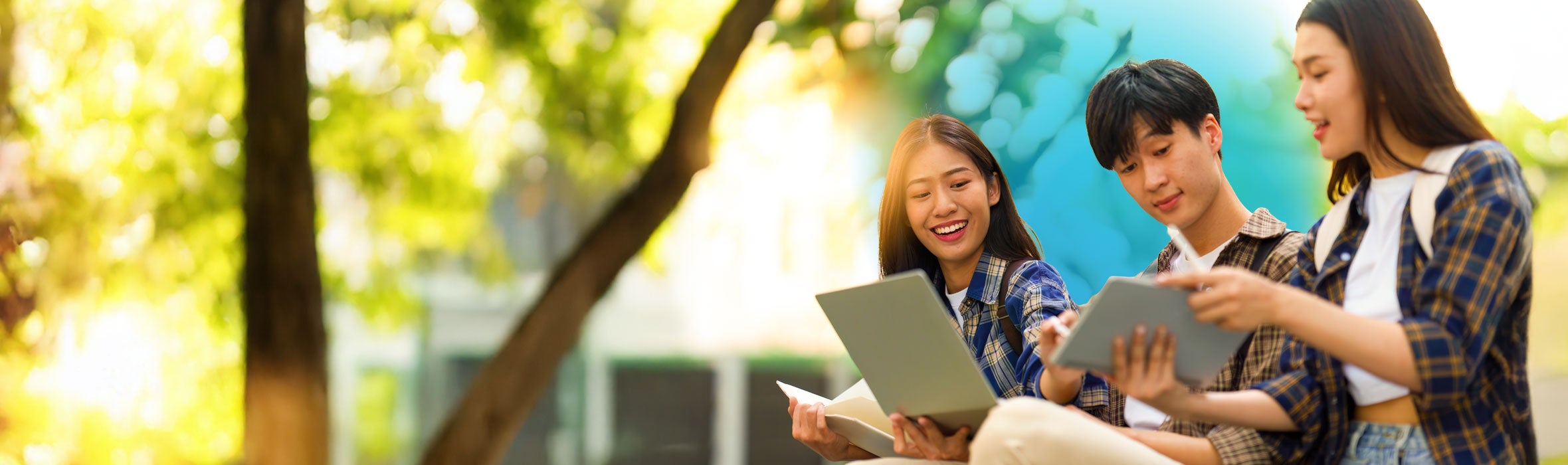 Group of three young Asian students wearing plaid shirts reviewing notes underneath a tree with the sun shining 