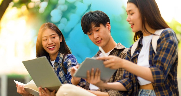 Group of three young Asian students wearing plaid shirts reviewing notes underneath a tree with the sun shining 