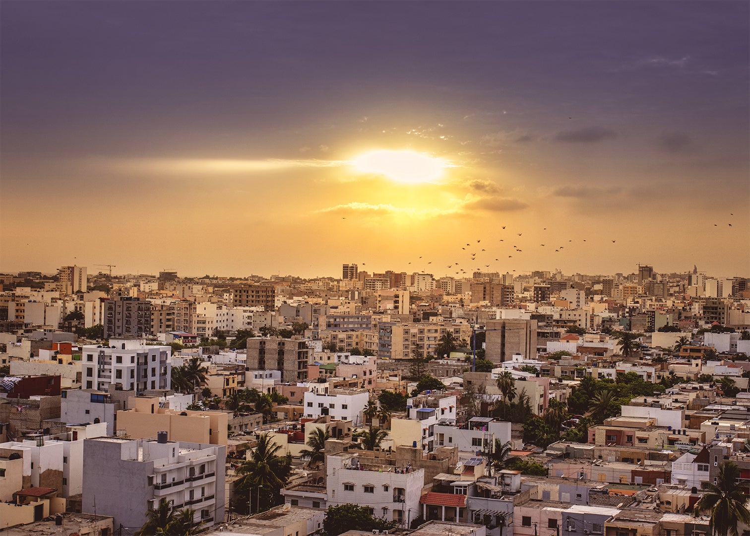 Crowded buildings in Senegal with a sunny sky and birds in the background 